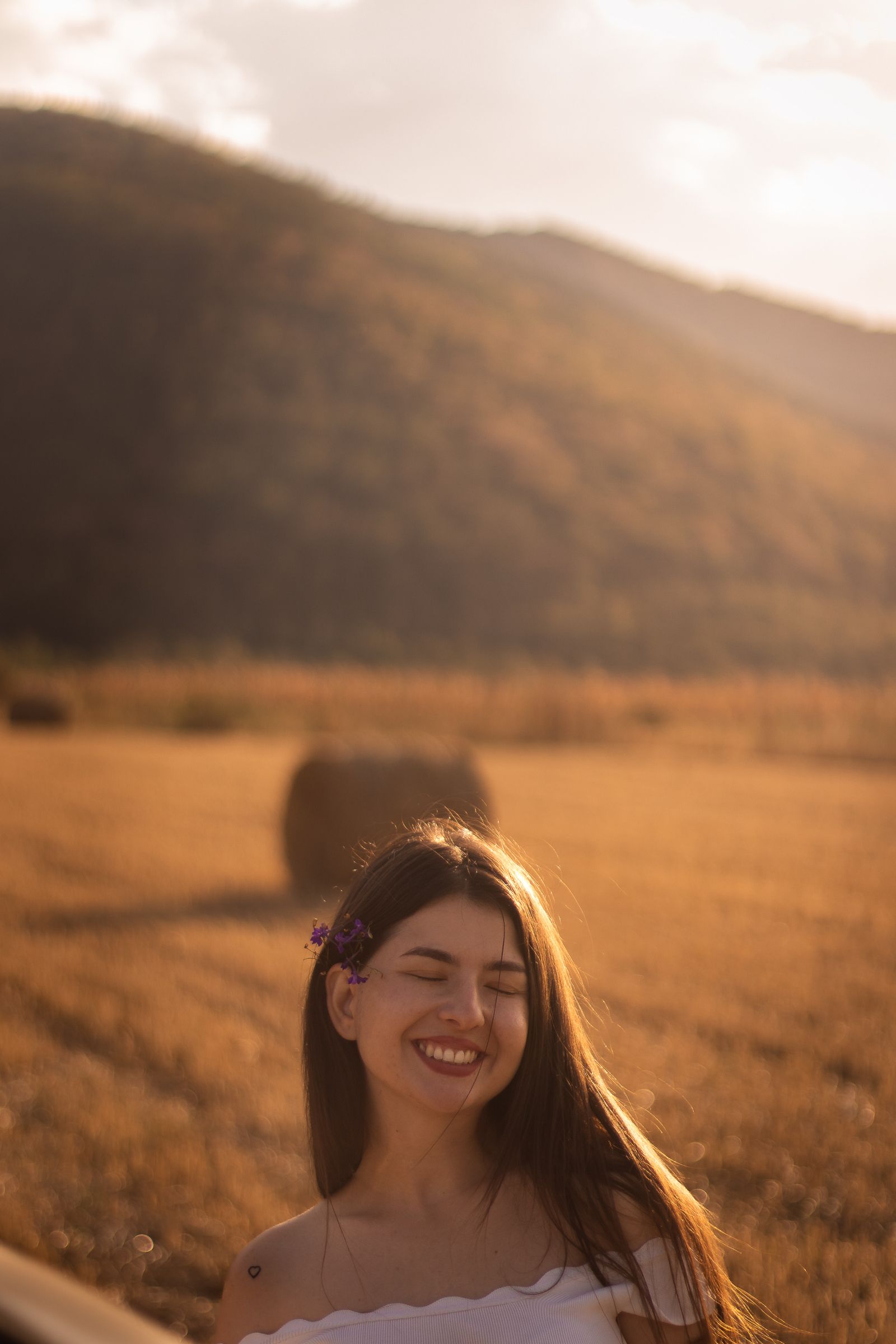 Field of Gold, photo 5