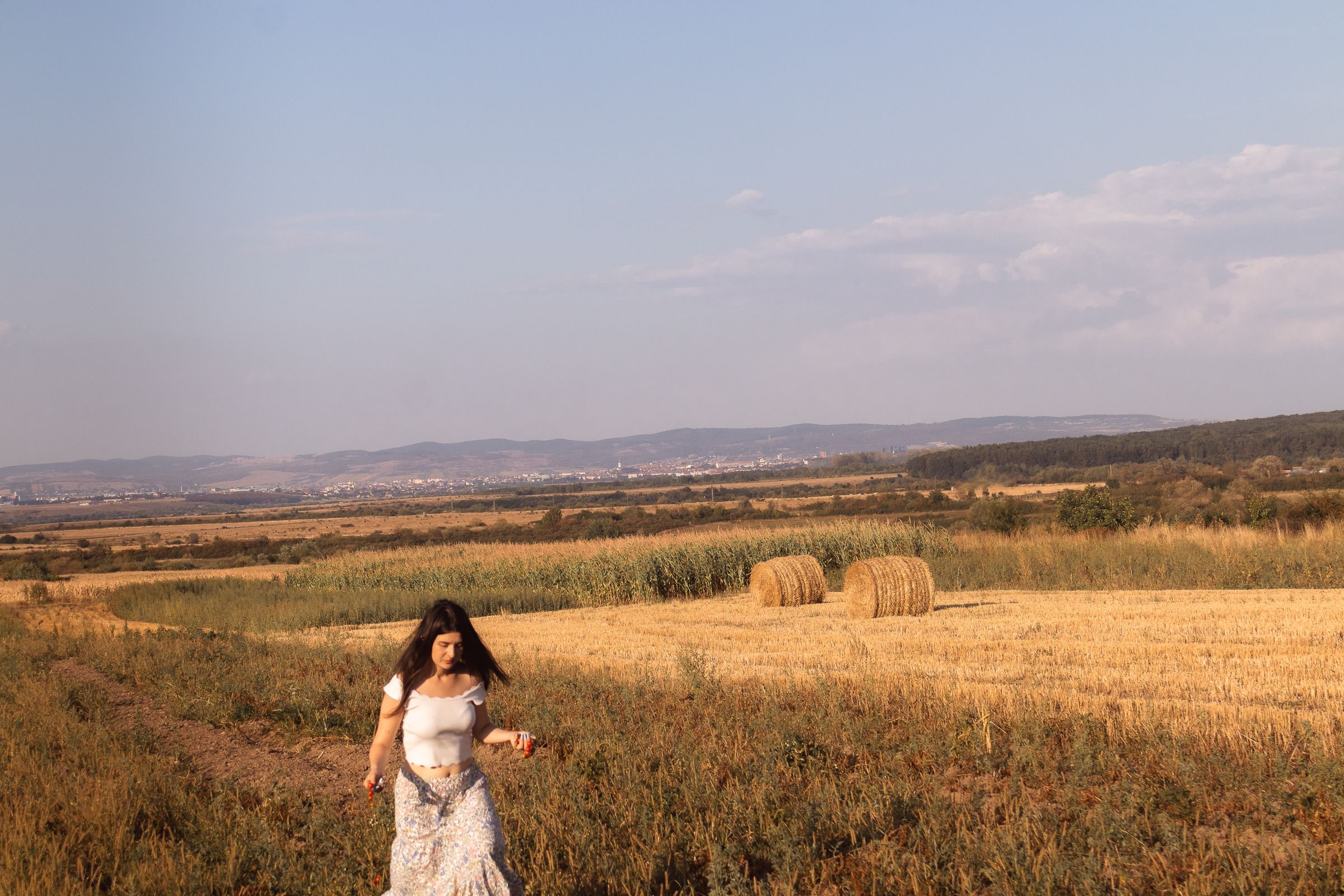Field of Gold, photo 3